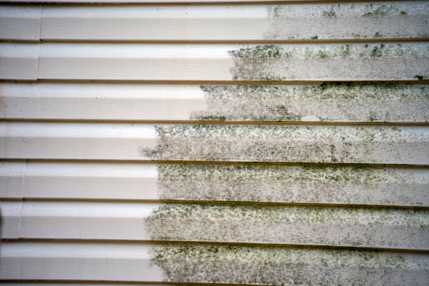 Best Basement Cleanout  in Hurleyville, NY
